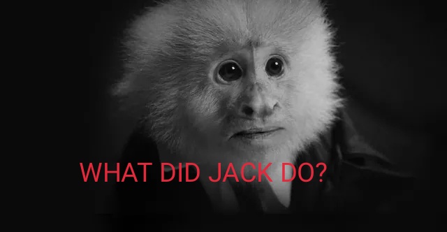 WHAT DID JACK DO?