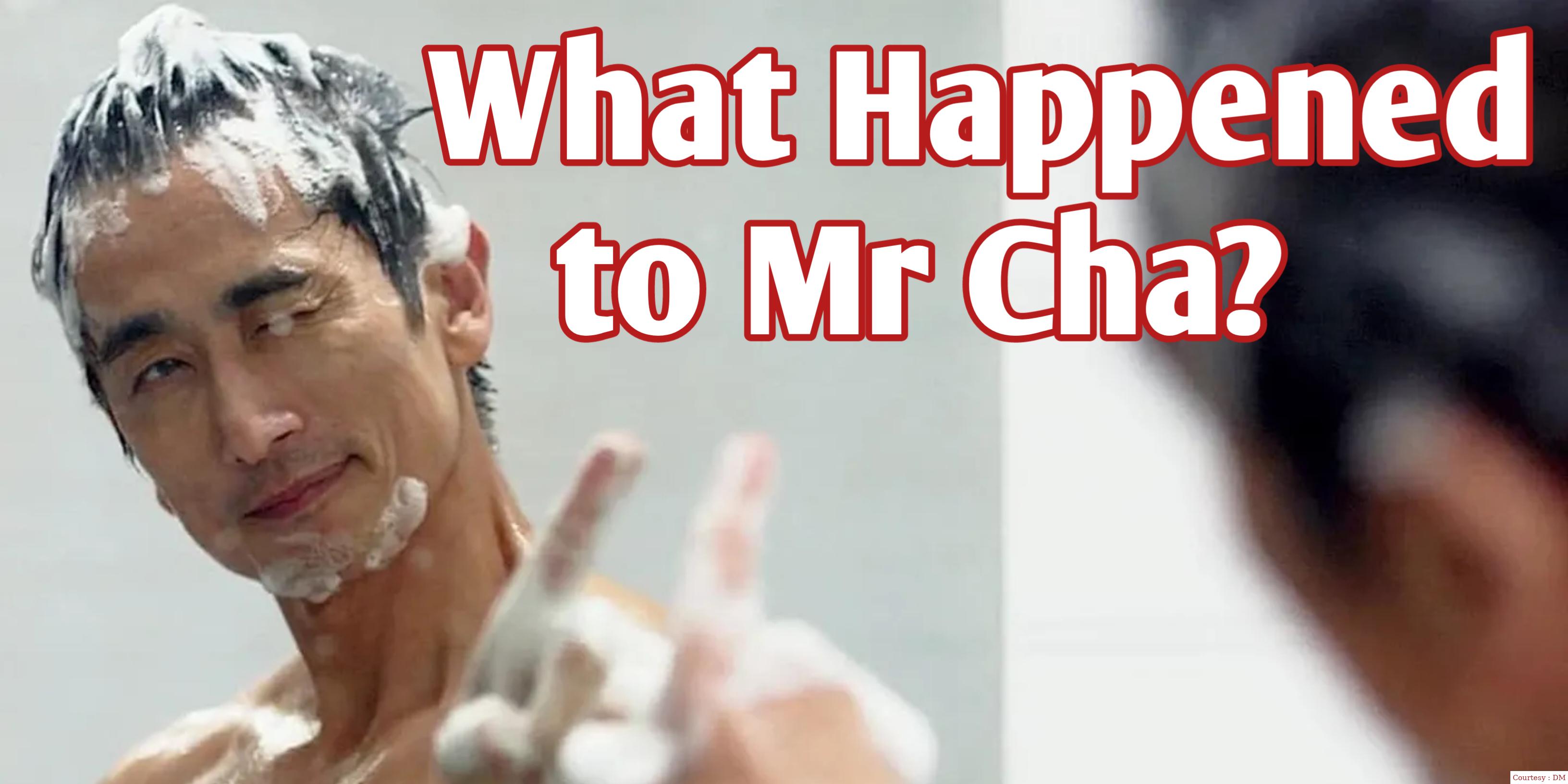 What Happened to Mr Cha?