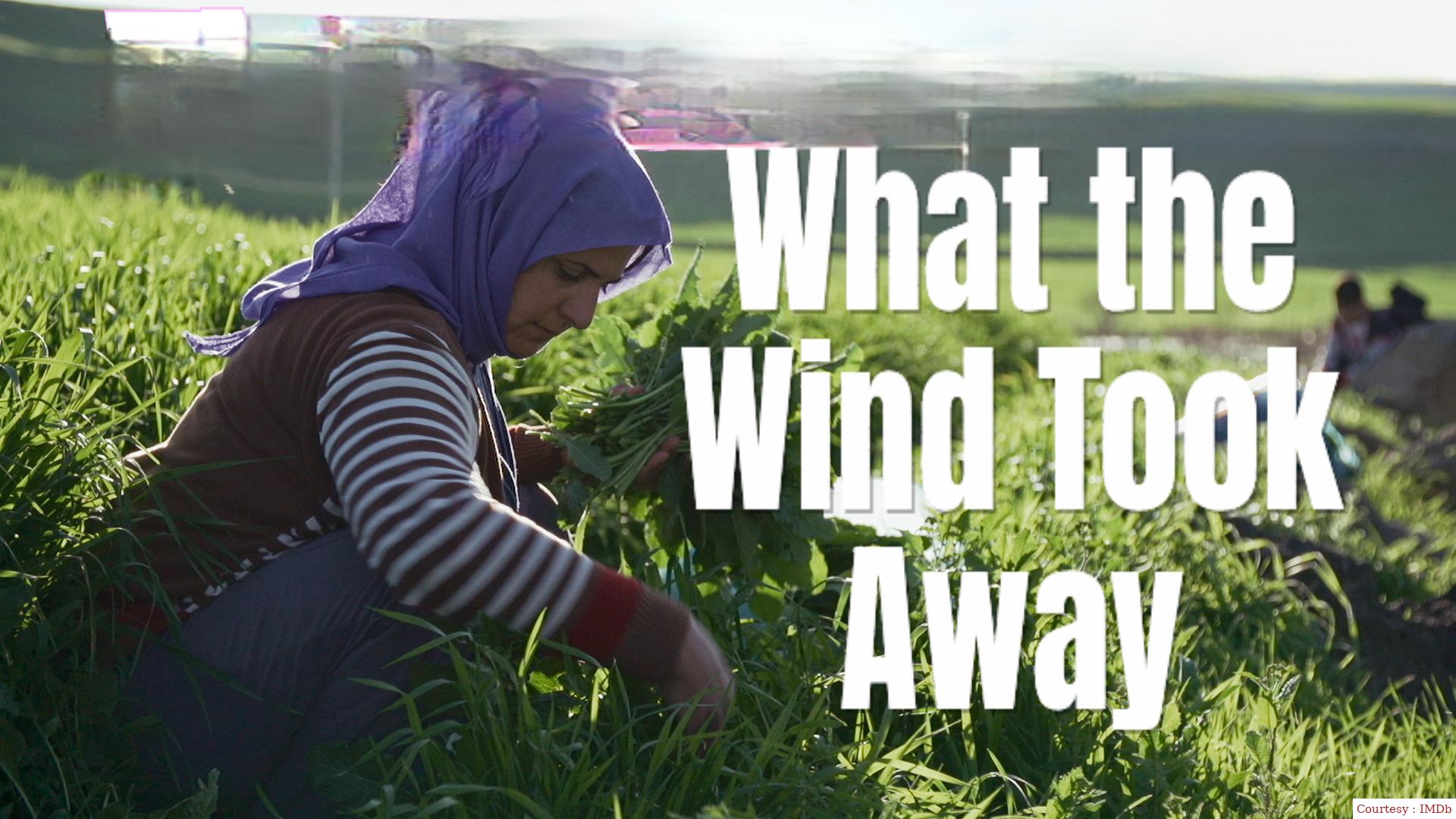 Watch Free  What the Wind Took Away Full Movie Online