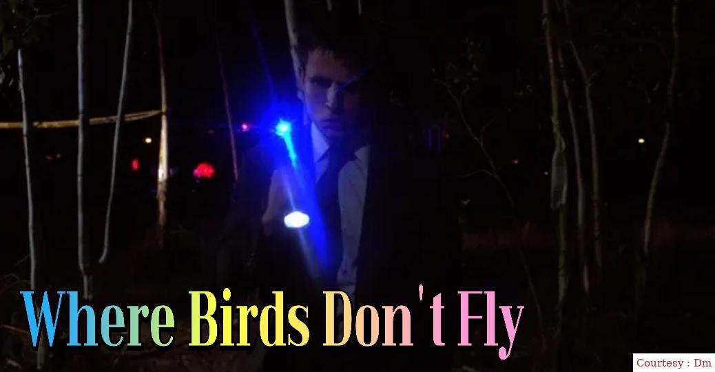 Where Birds Don't Fly