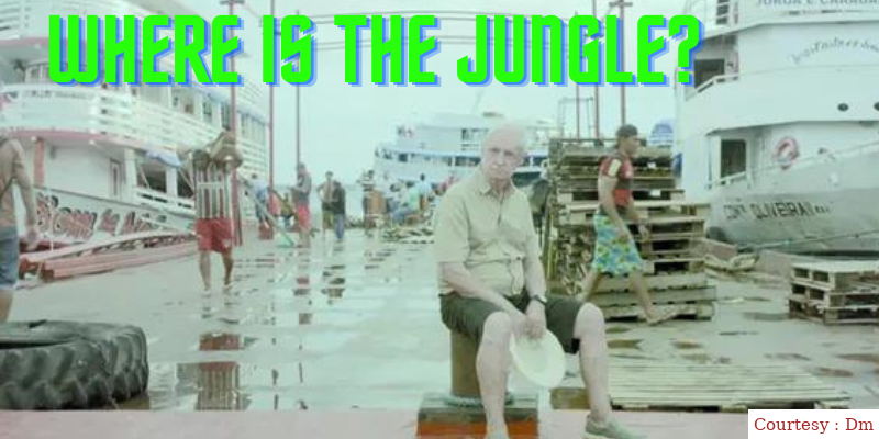 Where Is the Jungle?