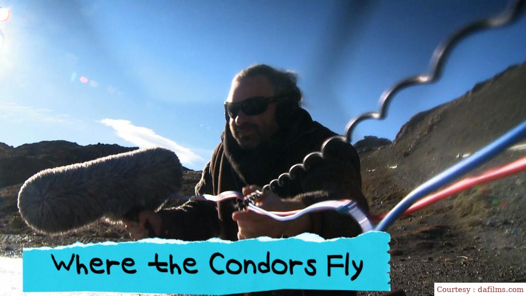 Where the Condors Fly