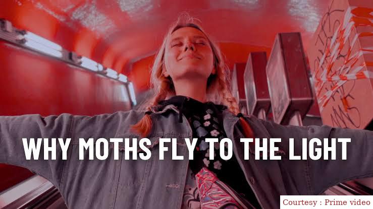 Watch Free Why Moths Fly to the Light? Full Movie Online