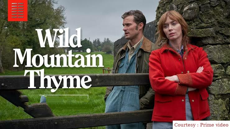 Wild Mountain Thyme