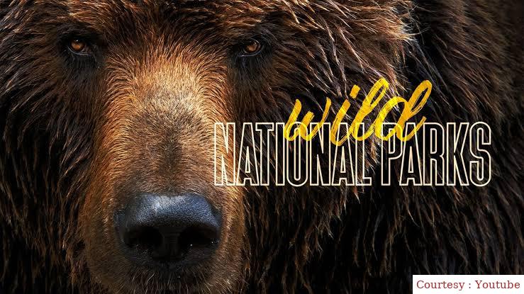 Watch Free Wild National Parks Full Movie Online