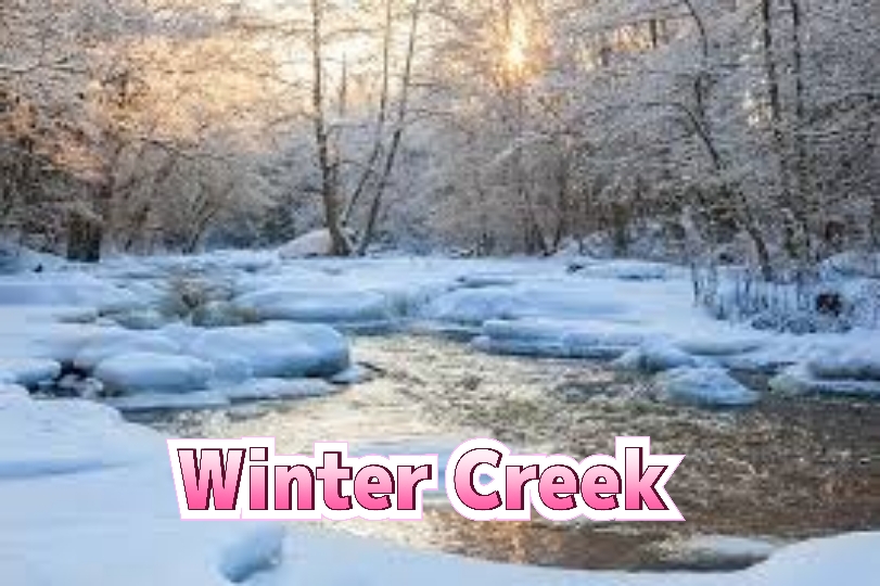 Watch Free Winter Creek Full Movie Online