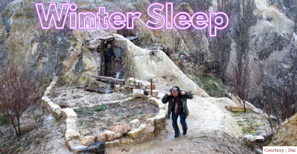 Winter Sleep 