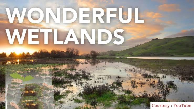 Wonderful Wetlands