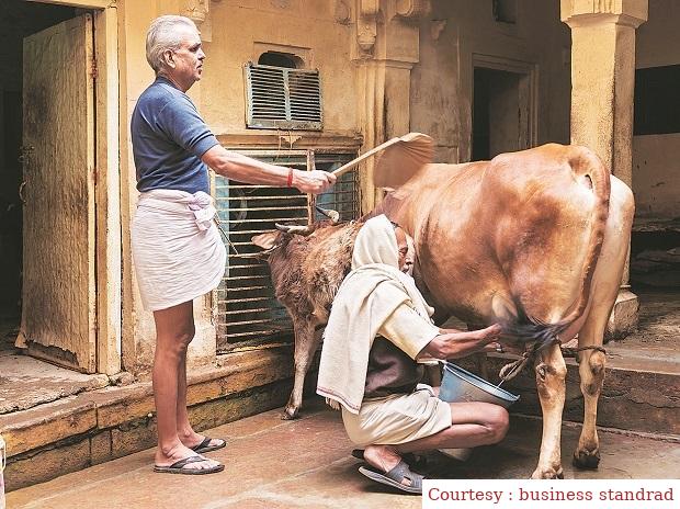 World Animal Welfare Day 2023: Know about its history and importance.