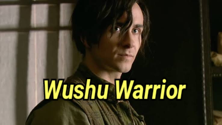 Wushu Warrior