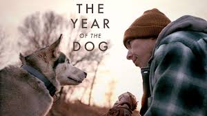 Year of the Dog