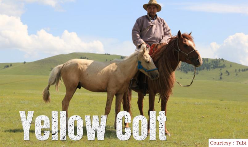 Watch Free  Yellow Colt Full Movie Online