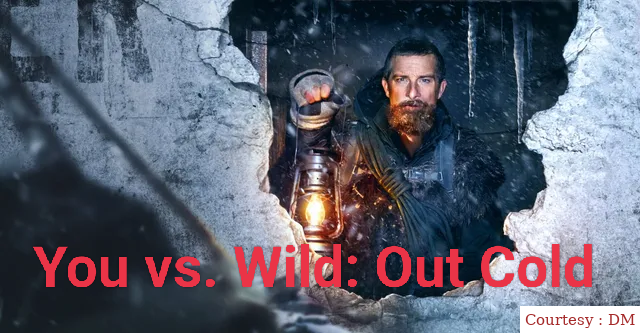 You vs. Wild: Out Cold