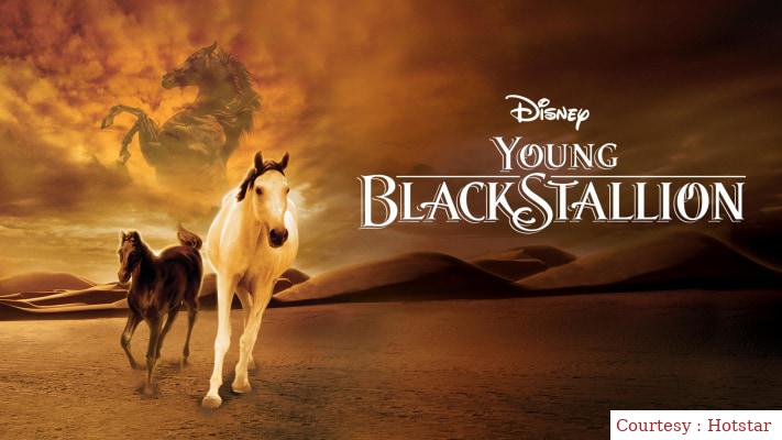 Watch Free  Young Black Stallion Full Movie Online