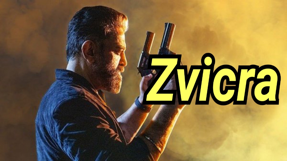 Zvicra